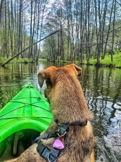 Osada nad Wdą w Borsku - 3