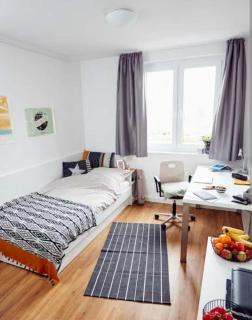 Beautiful Private Room in Berlin - 3