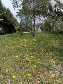 Alojamientos Cabezo del Gato - 6