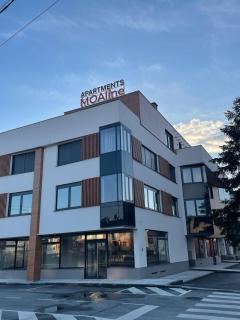 Moaline Apartments, free parking - Sarajevo - 9