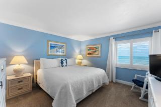 Spectacular beach views! Direct Oceanfront unit on the no-drive beach - New Smyrna Beach - 8