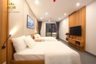 Elysees Sam Son Beach Hotel - Thanh Hóa - 4