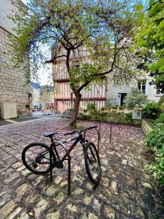 Appartement cosy hypercentre Place St Pierre - Saumur - 7