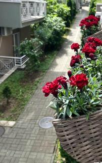 Apartment, Vrnyacka Banya, Raj - Vrnjačka Banja - 9