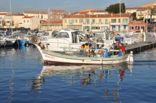 la brise du Brusc - Six-Fours-les-Plages - 4