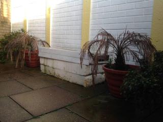 Garden Studio - Luton - 6