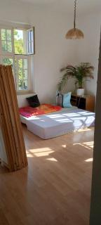 Forrest Apartments in Freiberg Min stay 2 nights Max Number of Guest 1 Aprt 1 - Freiberg - 7