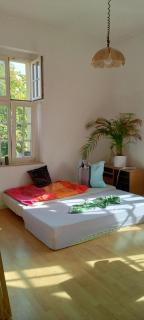 Forrest Apartments in Freiberg Min stay 2 nights Max Number of Guest 1 Aprt 1 - Freiberg - 6