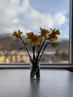 Guesthouse Tálknafjörður - Talknafjordur - 7