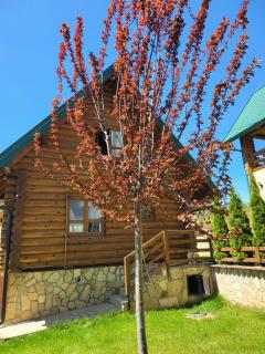 Zlatar Luxury Chalet - TRACE OF NATURE 2214 - 8
