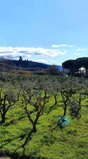Parco Nonna Nina - Castellammare di Velia - 5