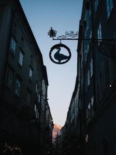 artHotel Blaue Gans - 7