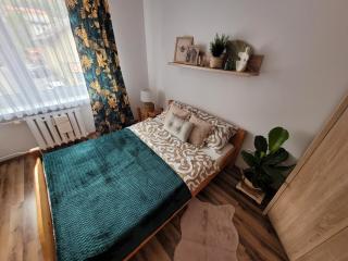 Farmer's House - Ustrzyki Dolne - 8