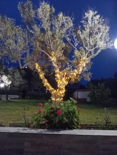 Casa torelli azzurro - 1