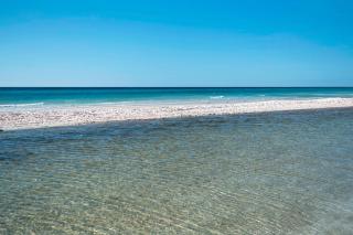 Saltwater Sanctuary - Santa Rosa Beach - 5