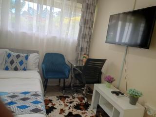 The Pearl Cage Gigiri-Near US Embassy - Nairobi - 3
