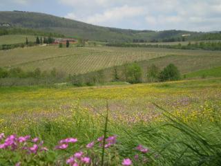 chiardiluna - Pistoia - 3