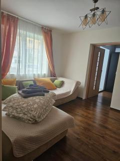 Apartament Cerna - Băile Herculane - 7