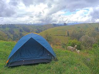 Campamento La Esperanza - Trae tu carpa - Colta - 9