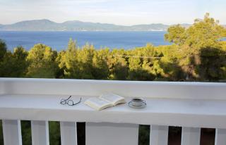 Dream View Villa - Theológos - 7