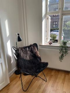 Uniq apartment with a little garden - placed in the heart of Copenhagen! - Copenaghen - 2
