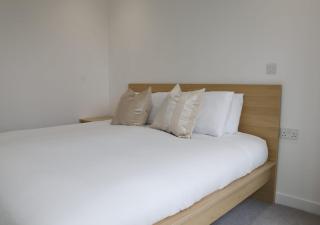 Modern New Spacious Apartment - 6