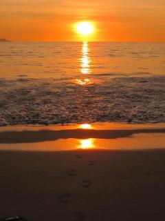 Playa Bonita unit Beso del Sol 101 - 2