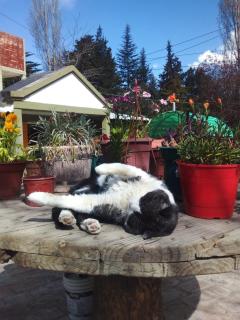 La Normita cabañas - 3