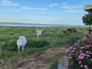 Mobilhome 6 personnes climatisé - 7