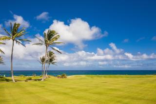 Daydream Believer - Kipu - 5