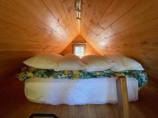 Studio or Cabin on Whitby - Nelson - 6