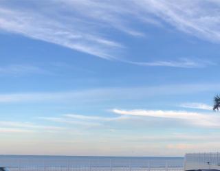 Harbour beach resort - 8