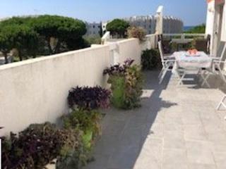 3 pièces avec grande terrasse à 50m de la plage et commerces, parking privé - FR-1-328-225 - La Grande-Motte - 9
