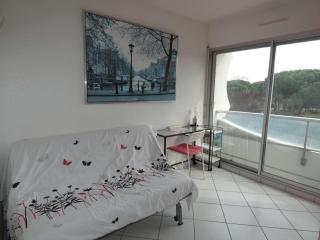 Appartement 2 pièces avec piscine, parking privé, proche commerces et plage, exposé sud - FR-1-328-264 - La Grande-Motte - 5