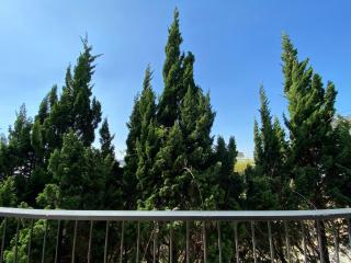 Lala Villa - 7 Bedrooms - 5 min to Da Lat center - Ấp Ða Thiên - 3