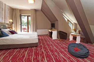 Hotel Piwniczna SPA&Conference - Piwniczna-Zdrój - 5