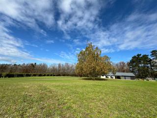 Karaka Private Farm Retreat - 4