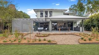 Eucalypts - Pokolbin - 0