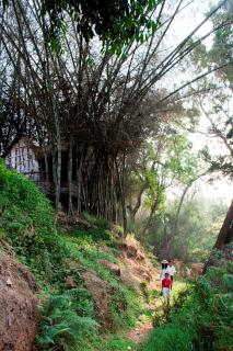 Amanvana Spa Resort, Coorg - Kushālnagar - 8