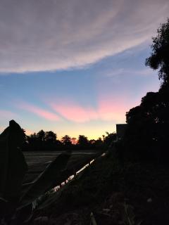 Mai Paddy Cottage, Balik Pulau - 2