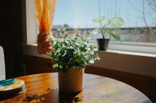 Cozy Cabin with Large Cedar Hot Tub - 5