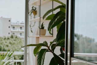 TheView apartment - Velipojë - 4