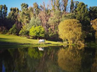 Incwala Lodge - Waterval Boven - 8