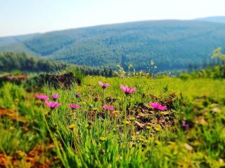 Incwala Lodge - Waterval Boven - 1
