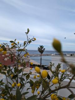 Al Porticciolo di Savelletri - 5