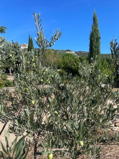 lagalerie84 - Saint-Saturnin-dʼApt - 3