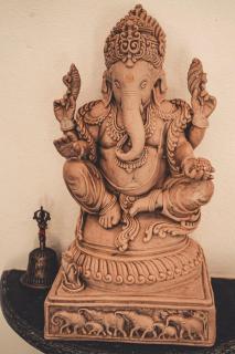 Gurukul VedaLife - Homestay - Canacona - 2