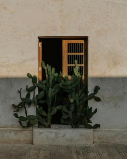 Casona los Cedros - 7