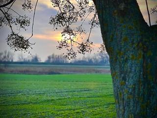 Casetta Rossa nel Parco del Delta del Po - Porto Viro - 6