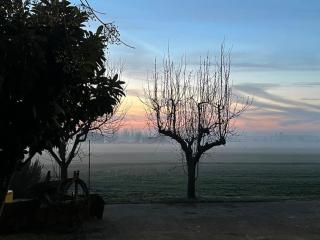 Casetta Rossa nel Parco del Delta del Po - Porto Viro - 1